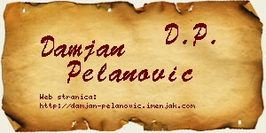 Damjan Pelanović vizit kartica
